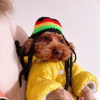 Chapeau pour animaux de compagnie en coton fait main au crochet, style Rasta, drôle, pour fête d'Halloween, bonnet tricoté mignon, accessoire de festival pour chien et chat, personnalisable