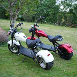 Scooter électrique Citycoco US Warehouse 60V à batterie longue durée et pneus larges, City <span class=keywords><strong>Coco</strong></span> <span class=keywords><strong>2</strong></span> places avec COC - Product Image 2