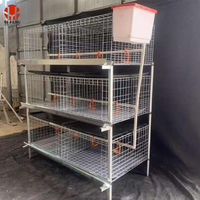 Système de cages à poulets de chair de type H avec alimentation et abreuvement automatiques et élimination des excréments pour poulailler