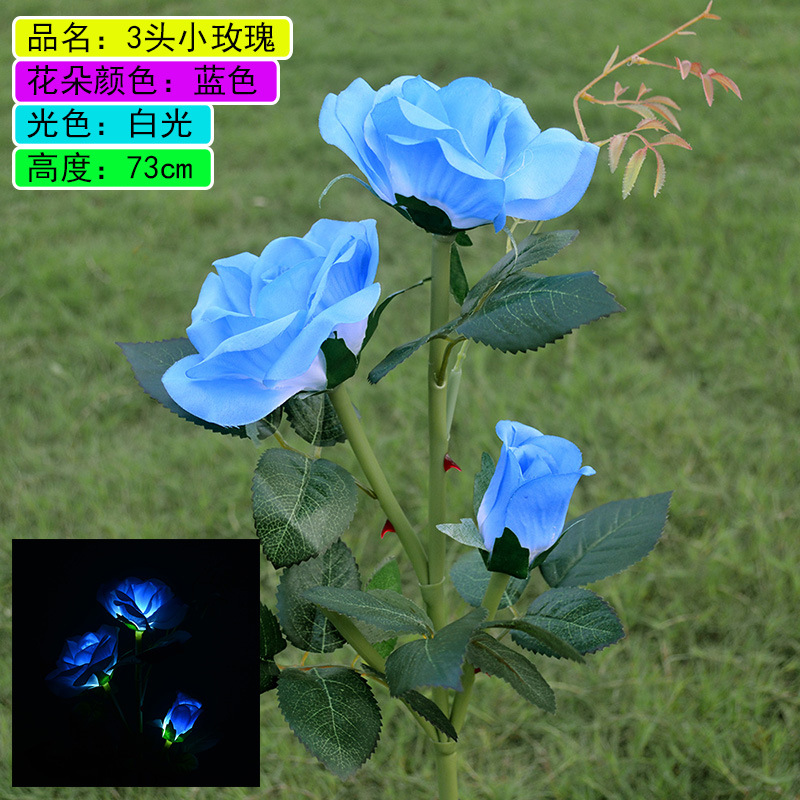 3 new rose blue blue light