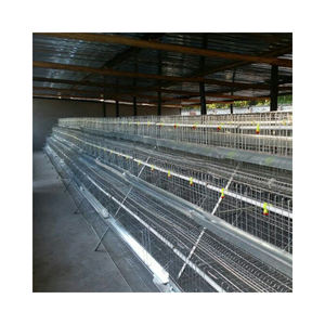 農家向けデザインの鶏小屋、産卵鶏用の中国式鶏小屋 - Product Image 6