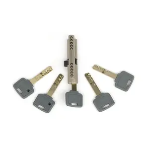 Isreal Market Plate-forme Cylindre de serrure de porte de haute sécurité prix raisonnable cylindre de serrure de porte à mortaise - Product Image 2