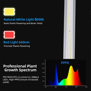 Entrega rápida <span class=keywords><strong>Luces</strong></span> de jardín 240W <span class=keywords><strong>Luces</strong></span> de espectro completo Far Red Commercial <span class=keywords><strong>Led</strong></span> Grow Light UV Bar para invernadero Planta de interior - Product Image 6