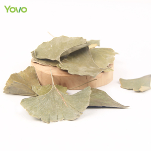 Té de hoja de <span class=keywords><strong>Ginkgo</strong></span> de hierba china seca Natural de alta calidad, <span class=keywords><strong>Ginkgo</strong></span> <span class=keywords><strong>Biloba</strong></span> seco para té, jabón para beber, vela, decoración artesanal - Product Image 2