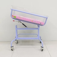 IB-G21 Berceau d'hôpital pour nourrissons, lit bébé sur roulettes, cuve transparente inclinable, panier de rangement en maille réglable