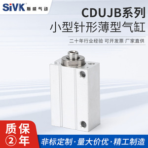 Série Sway Cdubj – Cylindre mince et compact 4 6 8 10 12 16 20 5x10x15 à double action avec montage traversant - Product Image 5