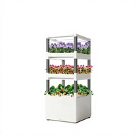 Petit armoire de culture verticale multi-niveaux assemblée pour usage domestique intérieur, idéale pour la culture de légumes à feuilles.