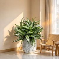 Tanaman Pot Aglaonema Perak Buatan Grosir, Tanaman Daun Berwarna-warni Imitasi untuk Dekorasi Ruang Komersial Interior