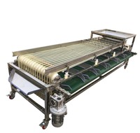 Tomaat/passie fruit/maybush/haw/Appel/peer grader sorter selector machine