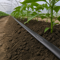 Tuyau d'irrigation goutte à goutte agricole de 16 mm avec émetteurs plats internes pour la conservation de l'eau - Fournitures agricoles en gros