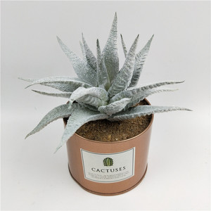 Cây Cảnh Nhân Tạo Trong Chậu Bằng Thiếc Vàng Bán Chạy Nhất Cây Cảnh Nhân Tạo <span class=keywords><strong>Mini</strong></span> Trong Chậu - Product Image 2