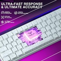 OEM ODM 68 HE 60 Gaming Keyboard Wired Hall Effect Magnetic Switch Keyboard with 8K Hz Polling Rate Side Printed PBT Keycaps RGB