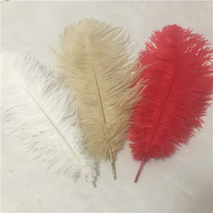 Plumes d'autruche artificielles blanches et colorées - Product Image 6