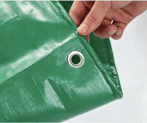 Bâche bleue 4x6 fabriquée par le fabricant de tentes Linyi, en matériau <span class=keywords><strong>plastique</strong></span> tissé PE, pour la Malaisie - Product Image 1