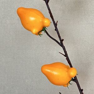 Guirnalda de Frutas Artificiales de Espuma Meiyu Craft Flower Factory, Decoraciones para el Hogar, Accesorios de Fotografía para Bodas, Naranja Dorado, Limón - Product Image 2