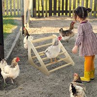JQ Échelle de repos en bambou pour volailles, perchoir, structure d'escalade, barre de repos pour poulets, pour jardins, poulaillers, fermes, jouet pour poulets