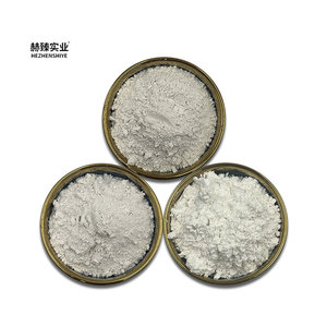 Poudre de zéolite 20-40 mesh Minéraux non métalliques pour la purification de l'<span class=keywords><strong>eau</strong></span> et le jardinage Filtre en pot de chlorite - Product Image 5
