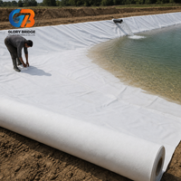 Géomembrane composite en géotextile non tissé de haute qualité anti-infiltration pour projet d'étanchéité souterraine de tunnels