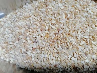 Granulés d'ail polymère séchées, 8 à 16 maille, 170g, pour le brésil