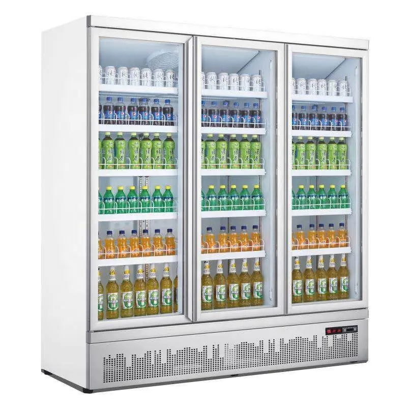 Réfrigérateur vertical avec porte en verre, pour boissons douces, réfrigérateur de magasin de pratiques