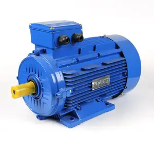 Made In China Three Phase YE3 380V 22kw 30HP AC Electric Motor for Sale