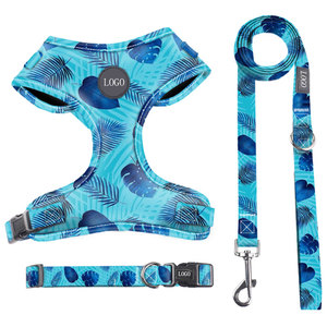 Arnés para mascotas de alta calidad, juego de cuerda de tracción, estilo coreano a la moda, arnés para cachorros y gatos, correa de tela de malla transpirable para perros - Product Image 5