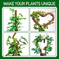 Poteaux de mousse empilables extensibles en fibre de coco de 16 pouces de longueur pour fournitures de jardin