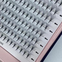 Offre Spéciale marque privée 500 1000 Fans amples Fans préfabriqués Volume Fans Loose lash Extension promade lashes