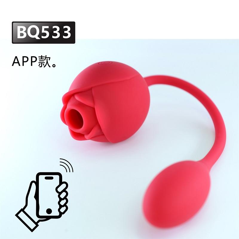rose BQ533 app