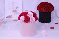 Offre Spéciale : Boîte Dôme Champignon de Luxe avec Roses Éternelles Roses et Rouges Faites à la Main pour Noël, la Fête des Mères, la Saint-Valentin et les Remises de Diplômes
