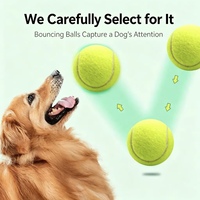 Balles de tennis colorées haute visibilité, résistantes aux morsures, hautement élastiques et durables, balles d'entraînement pour chiens pour terrains durs, en terre battue et en gazon
