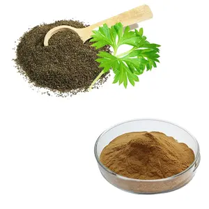 HONGDA 10:1 TLC Celery Seed Powder Extract Apigenin