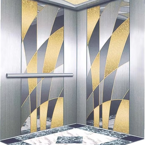 Ascenseur à traction sans engrenage personnalisé en PVC, capacité de 400 kg, mini-ascenseur pour villa et maison - Product Image 1