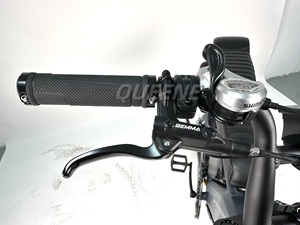 Bicicleta Eléctrica Todoterreno Queene Powerful, 48V60V 35AH, Neumáticos Anchos, Híbrida con Motores Duales y Baterías Dobles - Product Image 5
