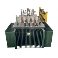 Transformateur de distribution haute tension immergé dans l'huile 160 kVA S13 20 kV, enroulement en cuivre, sortie 480 V, double enroulement, 50/60 Hz, monophasé/triphasé