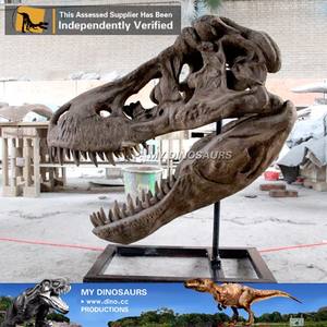 Cráneo de Tiranosaurio Rex de Tamaño Real MyDino - Product Image 4