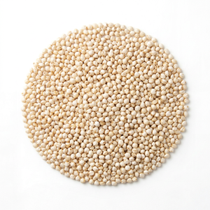 Grano de Sorgo Blanco Seco para Alimentación de Ganado, Grado Alimenticio, Suministro a Granel, Calidad de Exportación, 12 Meses de Vida Útil - Product Image 1