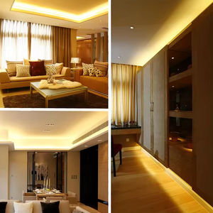 Vente en gros de bande lumineuse néon AC220V 110V 50m 100m un rouleau de bande lumineuse néon pour décoration extérieure 8*16mm lumières LED néon - Product Image 6