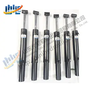 Single Acting Piston Rod Hydraulic Cylinder for Electric Tailgate Lift