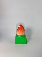 Vente en gros de glaces halal personnalisées OEM/ODM, mangue, chocolat croustillant, collations exotiques, boîte, emballage de stockage frigorifique