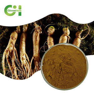 Polvo de extracto de raíz de ginseng de alta calidad (ginsenósidos), adecuado para su uso en alimentos saludables. - Product Image 1