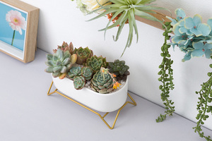 <span class=keywords><strong>Maceta</strong></span> Moderna Minimalista de Porcelana para Flores, Cactus, Plantas Artificiales, Contenedores para Ventanas, Decoración para Escritorio y Ventanas - Product Image 3