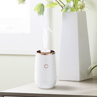 Atomiseur électrique de luxe Diffuseur USB Home Aromathérapie Anhydre Diffuseur d'huiles essentielles pures Mini diffuseur d'aromathérapie YS