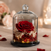 Campana de Cristal con Flor Preservada Personalizada, con Luz LED Cálida, Rosa Eterna, Regalo de Cumpleaños Pequeño y Lujoso para Venta al por Menor y Comercio Electrónico