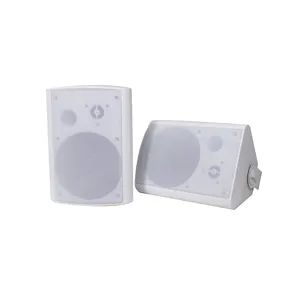 T Factory Outlet 2 Way Store Active Passive Speaker Outdoor Waterproof Wall Mount Supermarket Restaurant Speakers PA