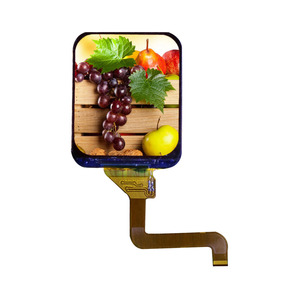 Nhà máy cung cấp TFT 240*280 pixel RGB Smartwatch <span class=keywords><strong>LCD</strong></span> hiển thị 1.69 inch - Product Image 4