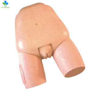 โมเดล PVC สำหรับสอนทางการแพทย์การดูแลมารดาการตรวจทางนรีเวชของการตรวจมดลูกและแบบจำลองการประเมินผล