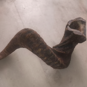 เขาแกะธรรมชาติ ชอฟาร์ แกะสลักขัดเงา สำหรับเป่า เครื่องดนตรีทางศาสนา และของสะสมทางศิลปะ คุณภาพโคเชอร์ - Product Image 1