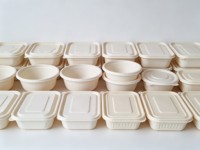 Conteneur alimentaire jetable rectangulaire en fibre avec couvercle, compostable, en stock, pour pique-nique et plats à emporter
