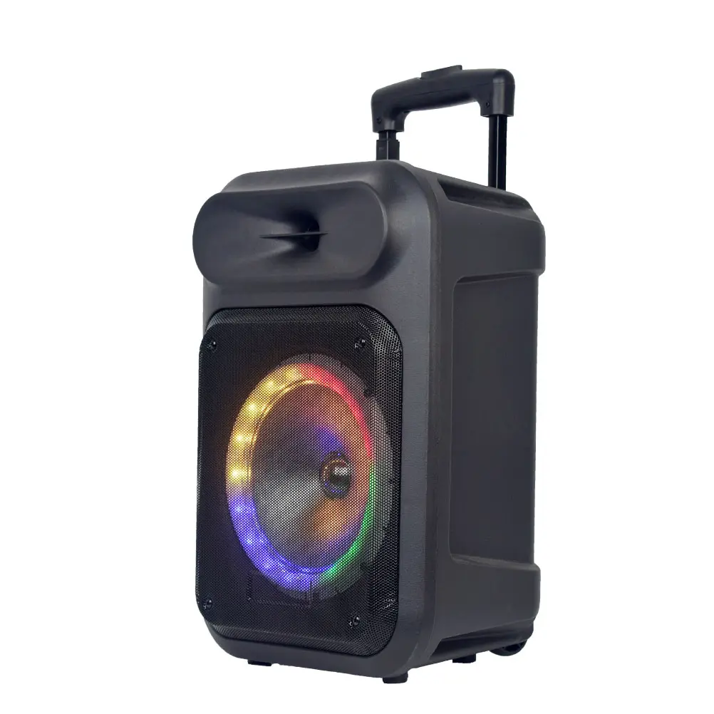 Grande boîte à son haut-parleur Portable de 8 pouces, enceinte de grande qualité, son extérieur, karaoké, avec éclairage Led